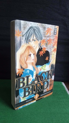 Black bird manga - 17,