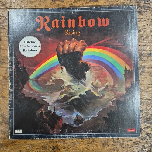 Rainbow rising oyster - rising,