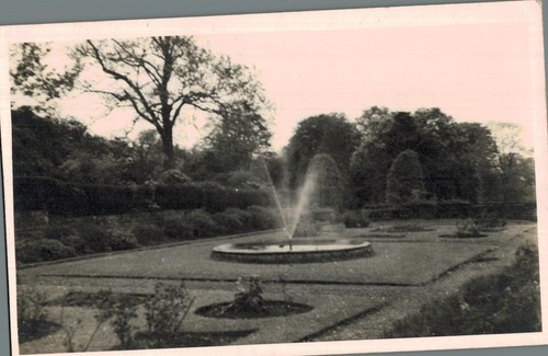 Vintage photograph garden - vintage,