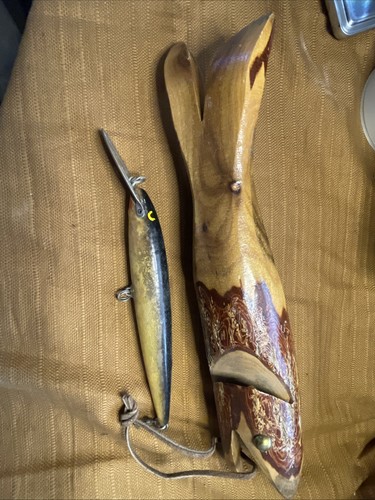 Tronco legno pesce - tronco, in