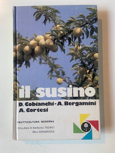 Susino frutticoltura - susino,
