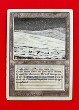 MTG - Tundra - Revisionata