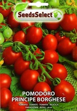 100 Semi / Seeds POMODORO