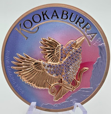 Kookaburra 2024 argento - 2024, oz