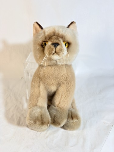 Heritage gatto birmano - heritage,
