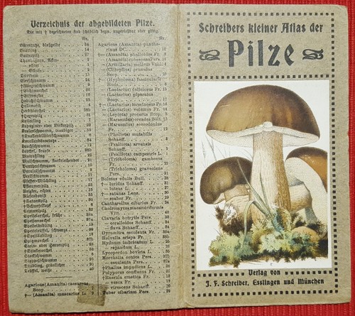 C2141 guida opuscolo funghi - c2141-guida-opuscolo,