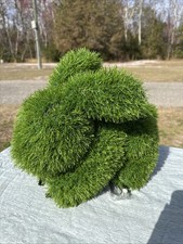 Giardino Naturae Decorazione