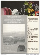 Savignano sul Panaro anni '80, Opuscoli mostre Elefante, Neolitico, Vino + 6 doc