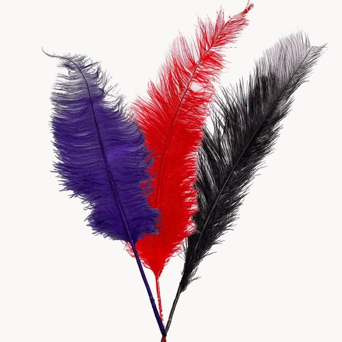 Set piume struzzo - set, 3