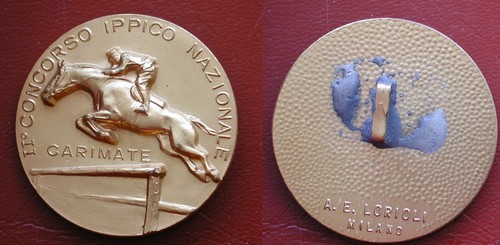 Distintivo concorso ippico - distintivo,
