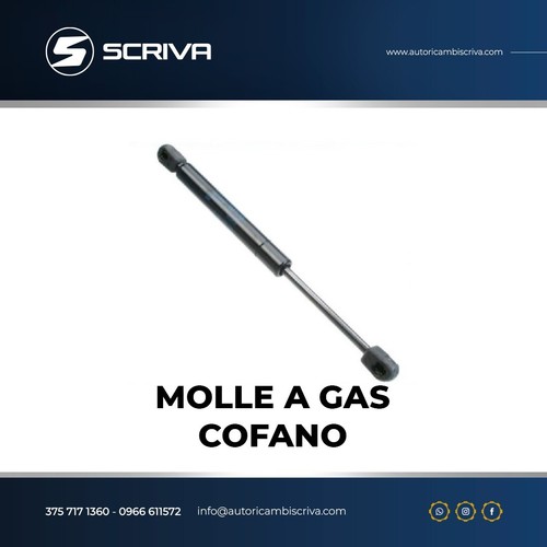 Molla gas ammortizzatore - gas,