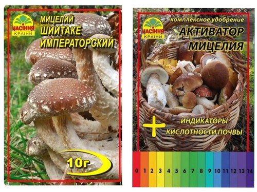 Offerta secco shiitake - secco,