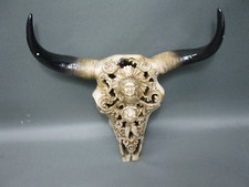 Teschio Bufalo Cranio Toro