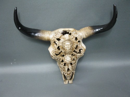 Teschio bufalo cranio toro - cranio,