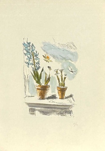 Pisis filippo - ,