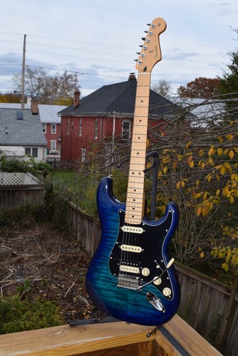 Lettore fender stratocaster - lettore,