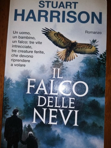 Falco delle nevi stuart - il,