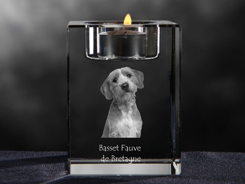 Basset fauve bretagne - basset, de