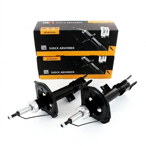 Coppia ammortizzatori gas - a,