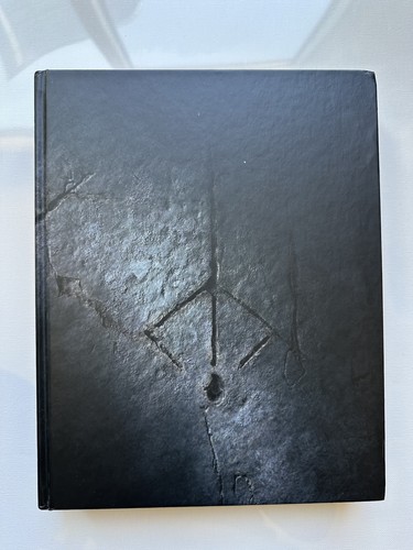 Bloodborne collector edition - collector's,