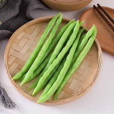 6 Pcs Alimentare Di
