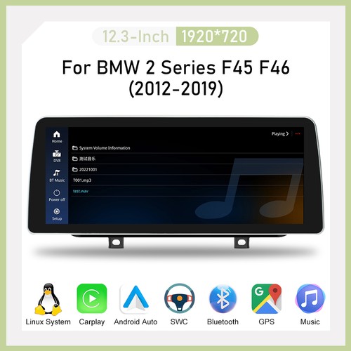 Autoradio premium linux - 12,3",