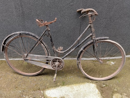 Bicicletta donna anni 50 - anni, 40/50