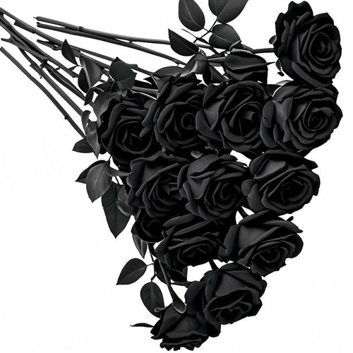Jazrvr rose nere - 12,