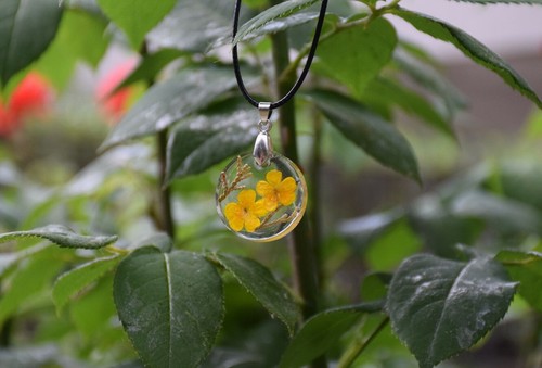 Real flower resin - real,