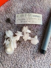 1x ORIGINALE 6176723 CLIP PANNELLO POSTERIORE FORD FIESTA MK3 1990