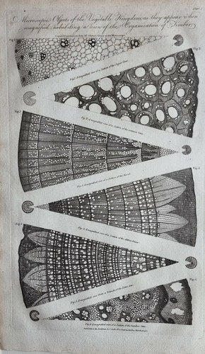 Stampa del 1790 oggetti - del,