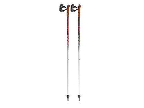 Leki bastoncini nordic walking - leki,