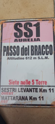 Replica cartello stradale ss1 - cartello,