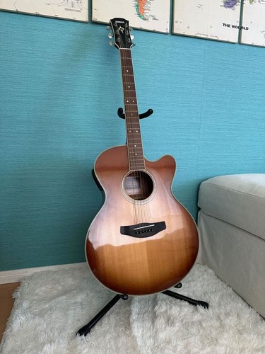 [Chitarra acustica elettrica