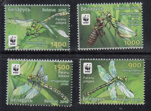 Bielorussia 2010 824 - bielorussia,