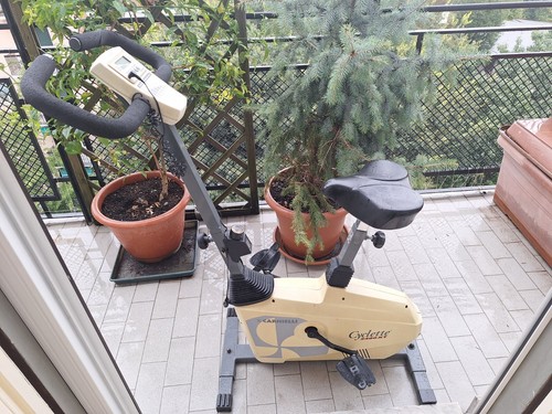 Cyclette carnielli usata - cyclette,