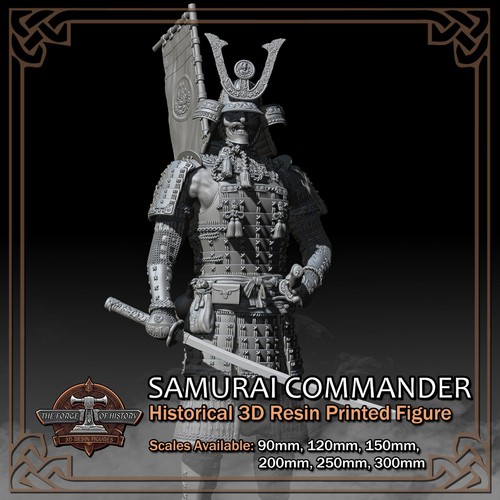 Taisho samurai commander - samurai,
