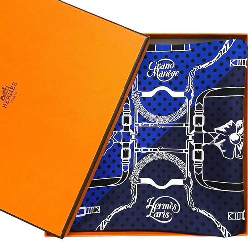 Sciarpa seta extreme hermes - seta,