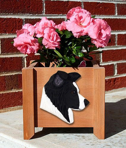 Border collie fioriera vaso - border,