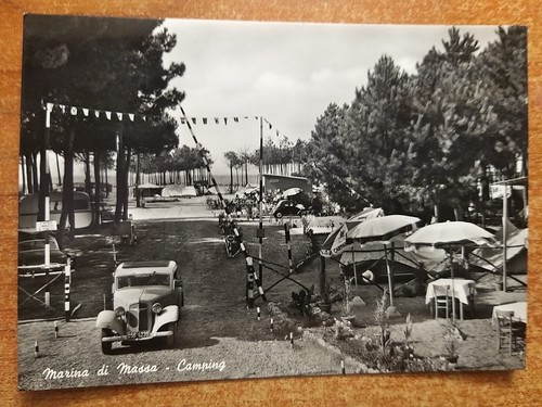 Marina massa - marina,