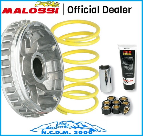 Nuovo kit variatore malossi - kit,