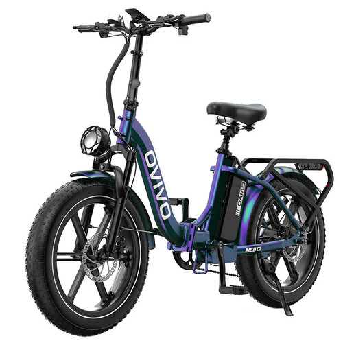 Ovivo neo fat bike - c2,