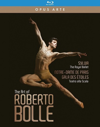 The art roberto bolle - art,