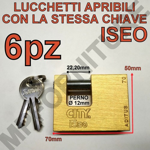 Lucchetti iseo apribili - lucchetti, con