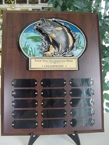 Trofeo pesca perpetuo anni - pesca, 15