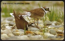 6 schede telefoniche diverse