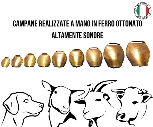 Campane campana ferro