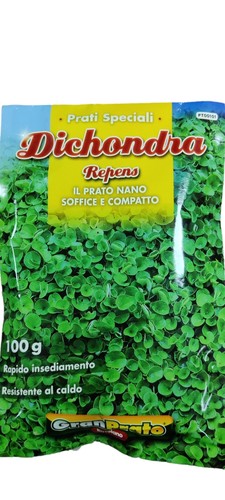 Semi dichondra repens prato - repens,