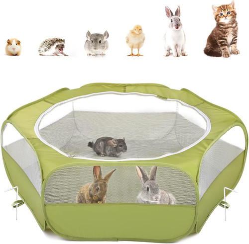 Recinto per animali domestici - animali,
