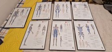 Anatomy Trains Posters 15.5" X